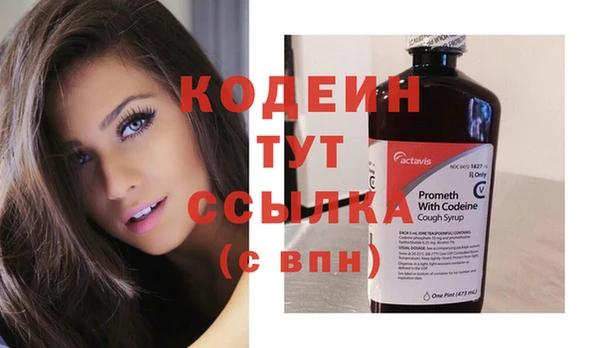 индика Баксан