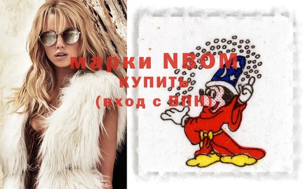 индика Баксан