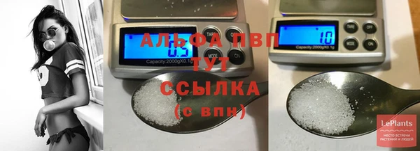 индика Баксан