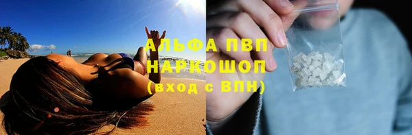 индика Баксан