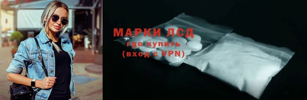 индика Баксан