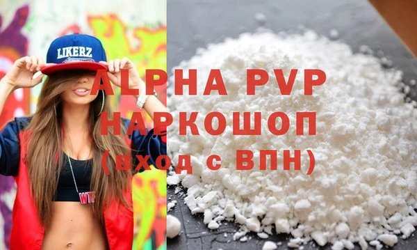индика Баксан